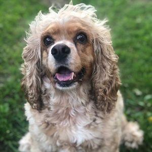 Meet your Posher, Lisa